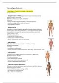 College aantekeningen Humane Anatomie en Fysiologie (AB_1125) - ANATOMIE GEDEELTE