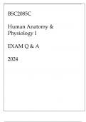 BSC2085C HUMAN ANATOMY & PHYSIOLOGY I EXAM Q & A 2024