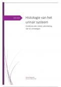 Samenvatting histologie van het urinair systeem: Blok cardiovasculair stelsel ademhaling nier en urinewegen 