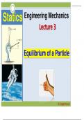 Exam (elaborations) Engineering Mechanics Equilibrium of a Particle