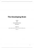 The Developing Brain - Module 1-3
