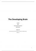 The Developing Brain - Module 1-3