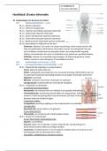 Extra informatie hoofdstuk 18 anatomie en pathologie
