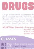 Biological impact of drugs on brains summary