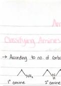 Summary Notes -  Amines, Amides and Amino acids