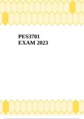 PES3701 EXAM 2023