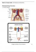 Week 6&colon; Study Guide  GU Diseases and Disorders 100&percnt; A&plus; Graded