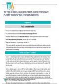 THE TELF ACADEMY ASSIGNMENT A TEXT 2 &ndash; LOWER INTERMEDIATE &lbrack;PASSED WITH DISTINCTION&rsqb; ANSWERED CORRECTLY&period;