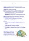 neuropsychologie samenvatting