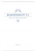BLOKOPDRACHT 3.1