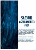 SAE3701 Assignment 3 2024