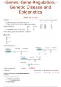 Genes, Gene Regulation, Genetic Disease and Epigenetics