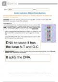 GIZMOS STUDENT EXPLORATION : RNA and Protein Synthesis latest update 2024