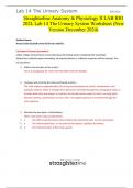 Anatomy & Physiology II LAB BIO 202L Lab 14 The Urinary System Worksheet (New Version December 2024) Straighterline 