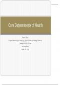 N493. Core Determinants of Health. Aspen University (Graded A+ Most Recent PowerPoint Presentation)