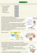Brein & Cognitie 1&colon; Hoofdstuk 11