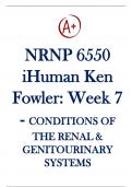 NRNP 6550: Advanced Care of Adults in Acute Settings II i-Human: Week 7 - Conditions of the Renal and Genitourinary Systems