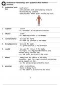 Anatomical Terminology 2024 Questions And Verified Answers 