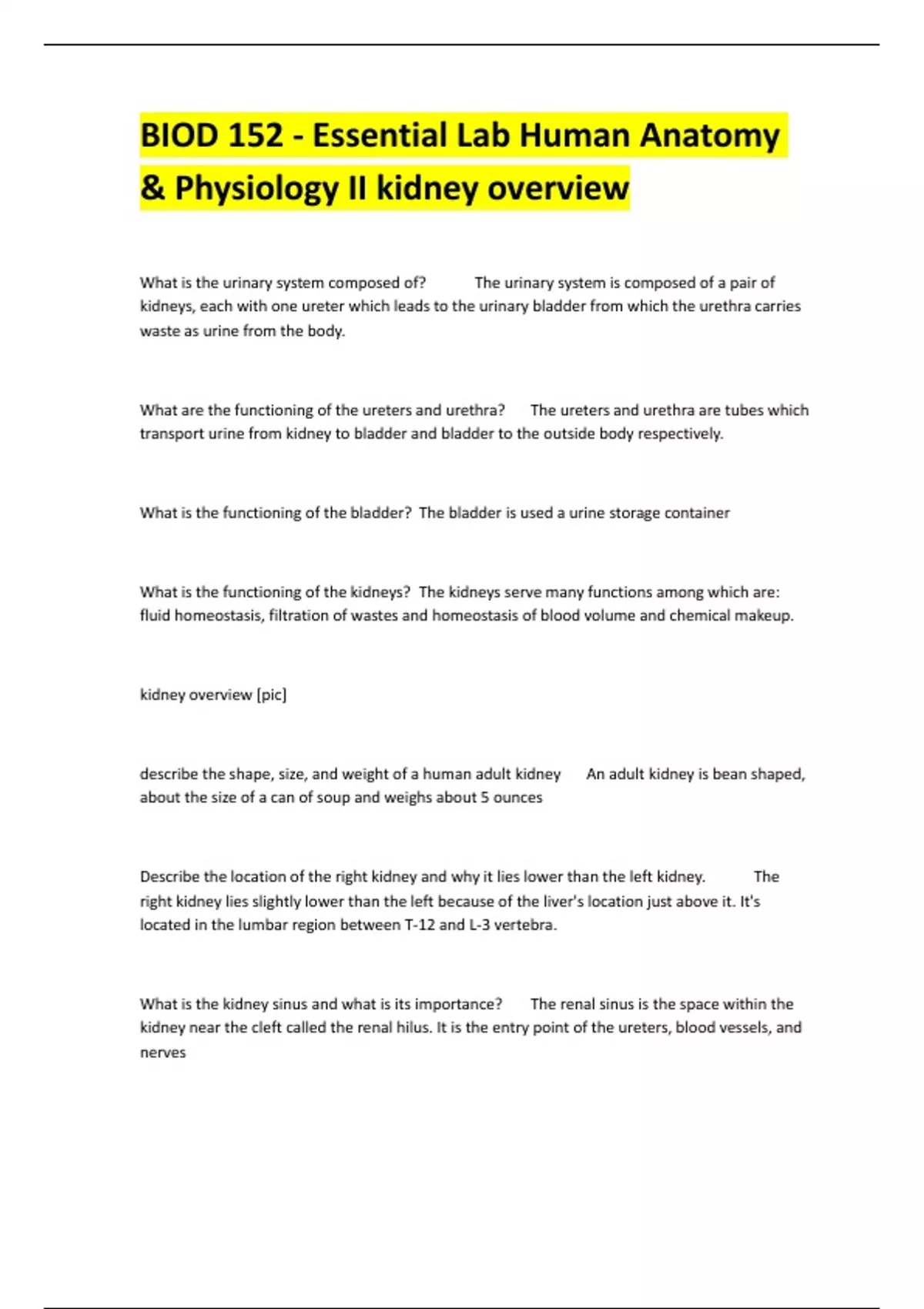 BIOD 152 - Essential Lab Human Anatomy & Physiology II kidney overview ...