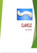 all detail study of clavicle introduction,side determination, features, attachments and osscification also described 