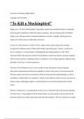 Essay To Kill a Mockingbird - English literature and composition