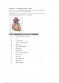 Anatomy of the heart exercise 