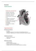 Biomedisch Het hart periode 1 inholland