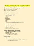 Week 2 - Urinary System Edapt&sol;Class Notes UPDATED - Chamberlain