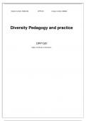 Diversity Pedagogy and practice DPP1501 Higher Certificate in Education Student number: 60902183 DPP1501 Unique number:689605 1 CONTENTS Introduction ………………………………………………………………………………………………………………………………..2 Heading 1……………………………………………………………………………………………………………………