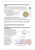 Bundel samenvatting Celbiologie van lessen 1-7