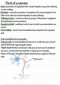 Eduqas alevel biology - nervous system notes 