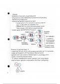 AP Biology Mitosis and Meiosis 