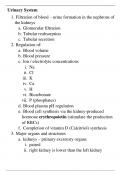 Anatomy and physiology of the urinary and reproductive system summary notes
