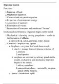 anatomy and physiology of the digestive system summary notes