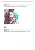 BIO 152 &sol; BIOD 152 AP 2&comma; FINAL
