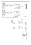 BUS 5110 Unit 5 Excel Calculation(100% correct)