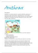 Anthrax.pdf