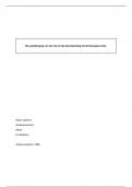 Bundel paper en tentamen Doorwerking Europees recht (RM3113)