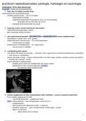 practicum basisobservaties cytologie&comma; histologie en neurologie