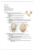 SCB203 Bone Practical Practice 
