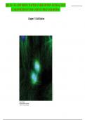 BIO 151 CELL DIVISION CHAPTER 11 3RD EDITION SATISFACTION GUARANTEED SUCCESS LATEST UPDATE GRADED A&plus;