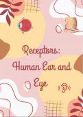 Receptors: Human Ear & Eye (IEB)