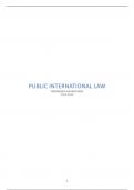 Notities Public International Law 2022-2023