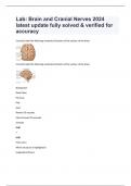 Lab: Brain and Cranial Nerves 2024 latest update fully solved & verified for accuracy