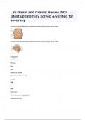 Lab Brain and Cranial Nerves 2024 latest update fully solved & verified for accuracy&period;