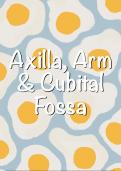 Anatomy notes - Axilla, Arm & Cubital Fossa