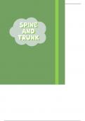Notes on Spine and Trunk upper limb anatomy 
