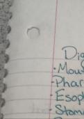 The Digestive System
