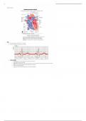 Summary Cardiac Catheterization in Congenital Heart Disease -  MN501 Adult 2 Exam 2 CARDIOVASCULAR DISEASE