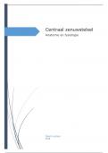 Verslag centraal zenuwstelsel